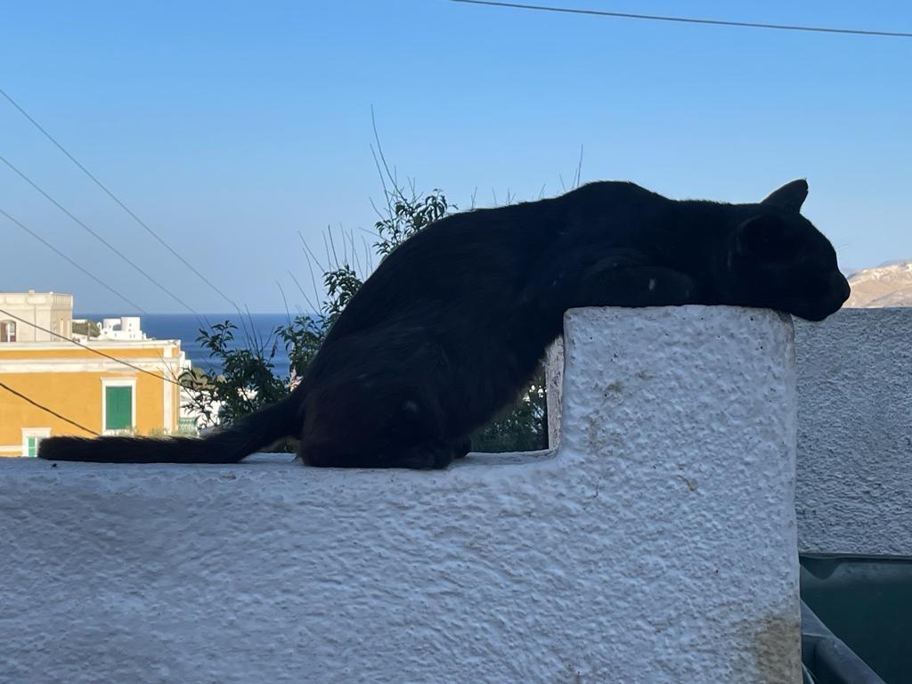 Vacanze in barca a vela Isole Eolie