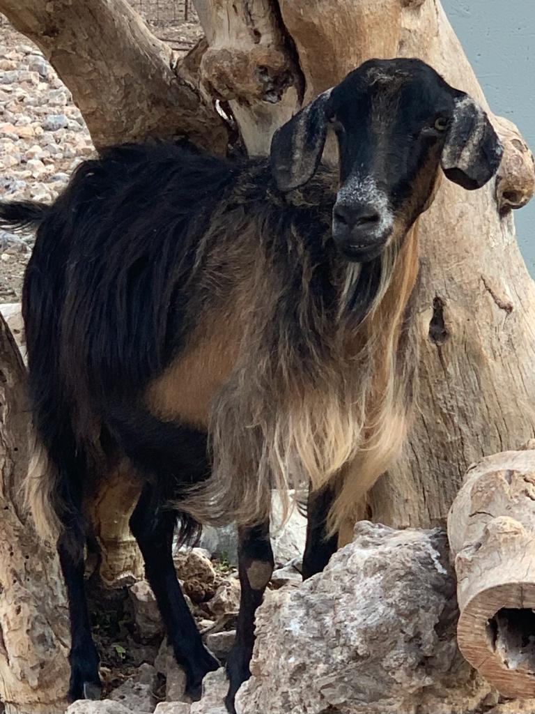 Vacanze in barca a vela Isole Eolie