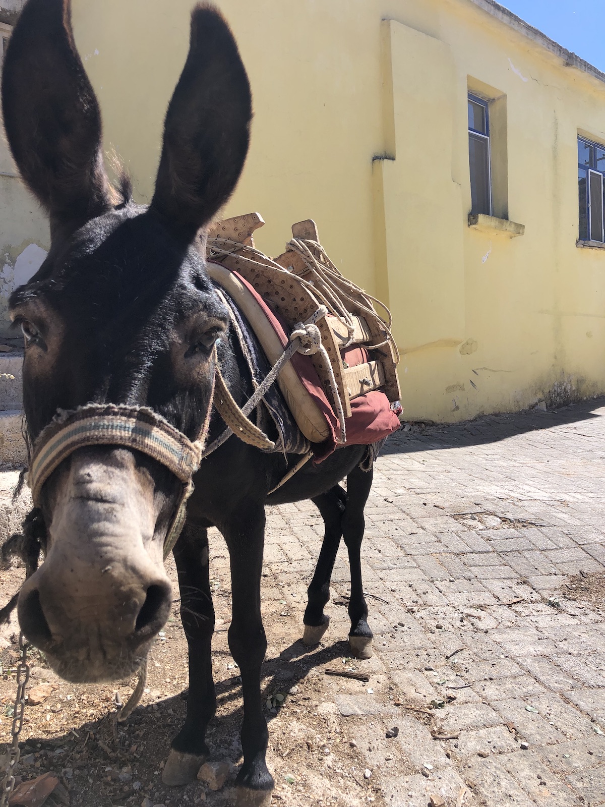 Vacanze in barca a vela Isole Eolie