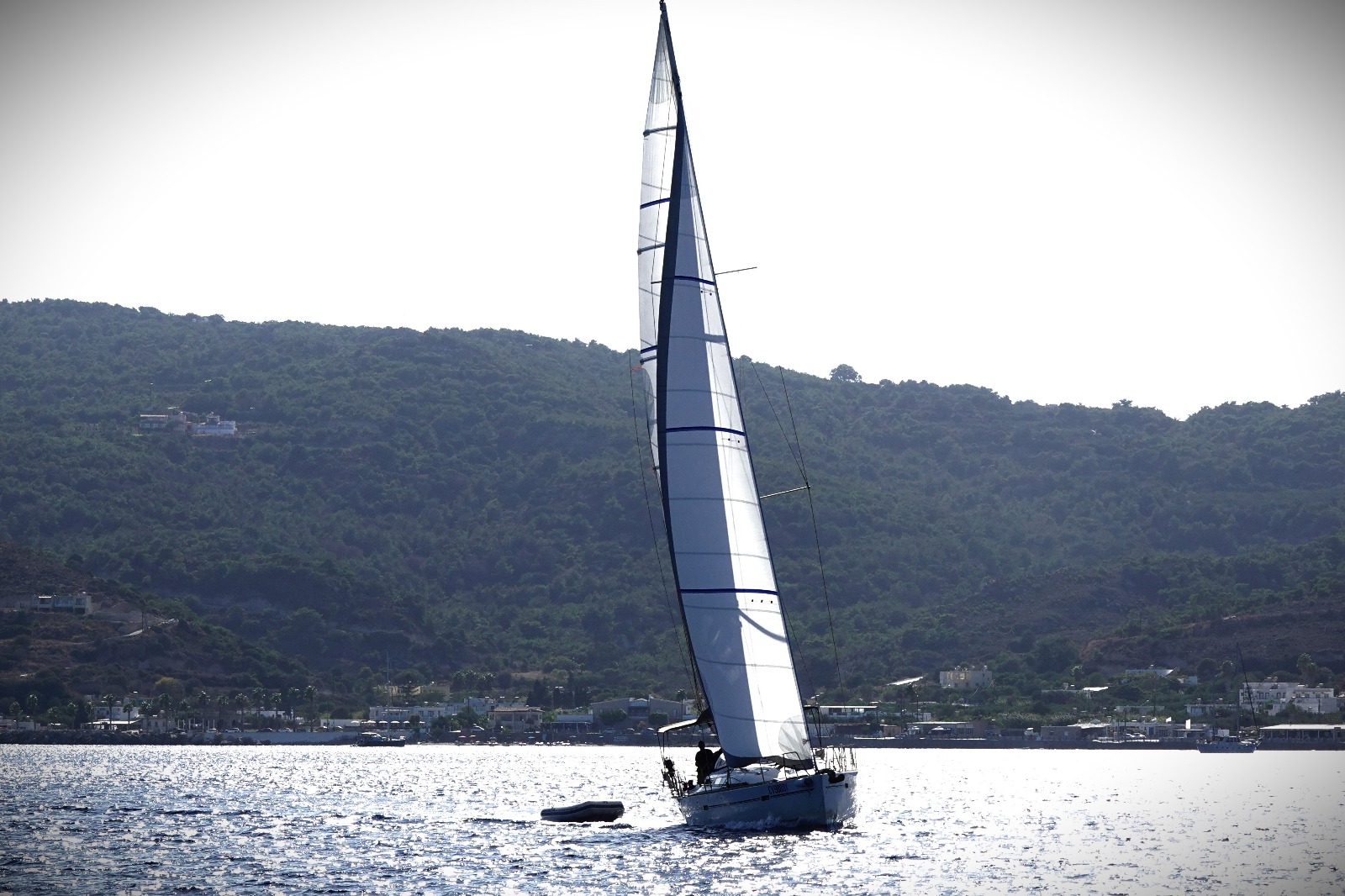 isole eolie a vela delfini